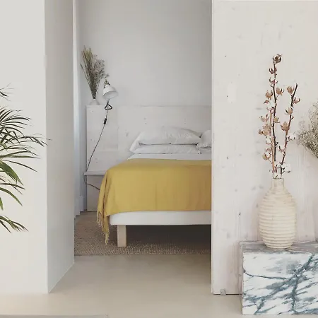 Casasuul Apartment *