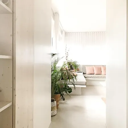 Casasuul Apartment