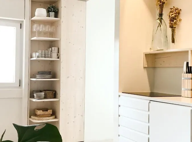 Casasuul 아파트 알보르