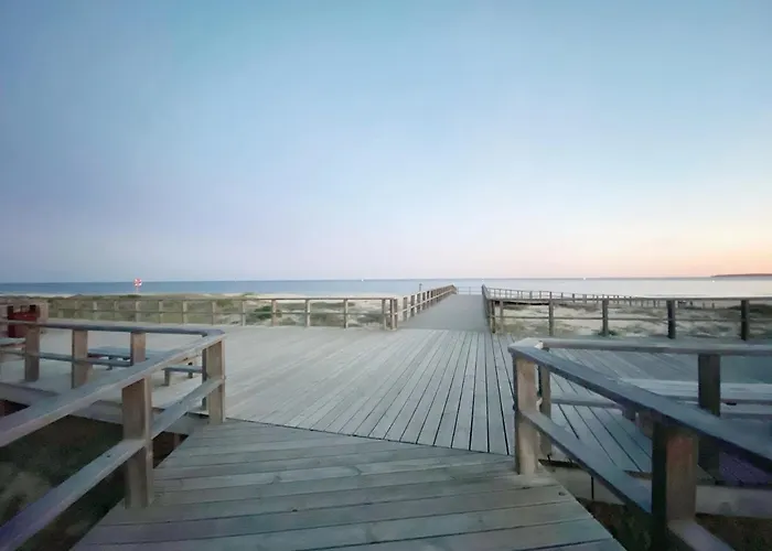 Casasuul * 알보르