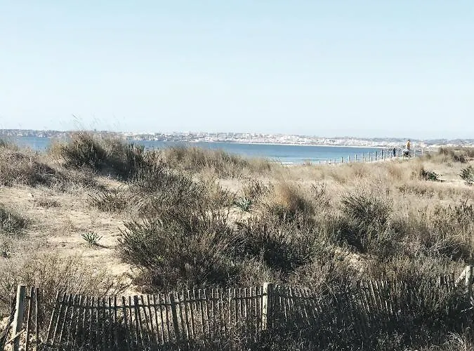 Casasuul * 알보르