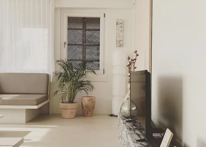 Casasuul * 알보르